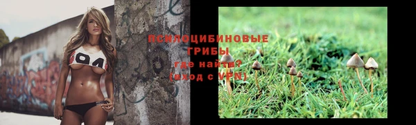 ешки Алексин
