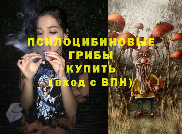 ешки Алексин