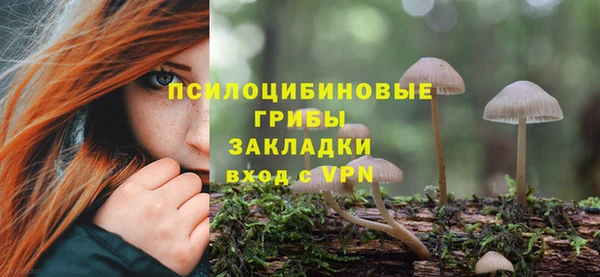 винт Арсеньев