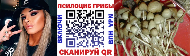 Галлюциногенные грибы Cubensis  Печоры 
